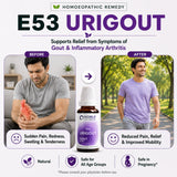 Gout Care Kit | E53 Urigout | Noble Life Energy