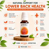 Lower Back Pain Care Kit | E73 Lumbagos | Noble Life Energy